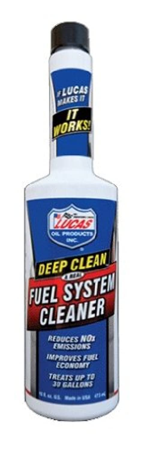 16 oz. Fuel System Cleaner Case of 12 H986592