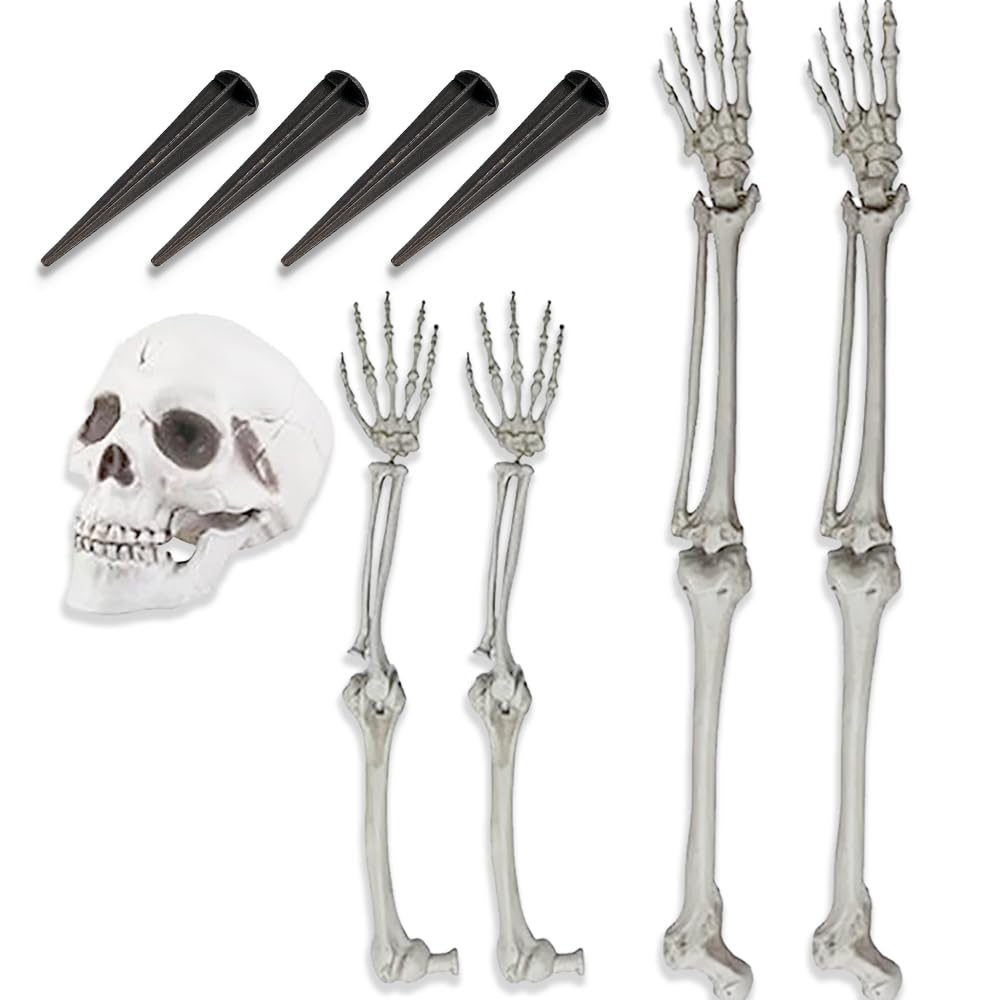 Life-Size Skeleton Halloween Decoration A7535