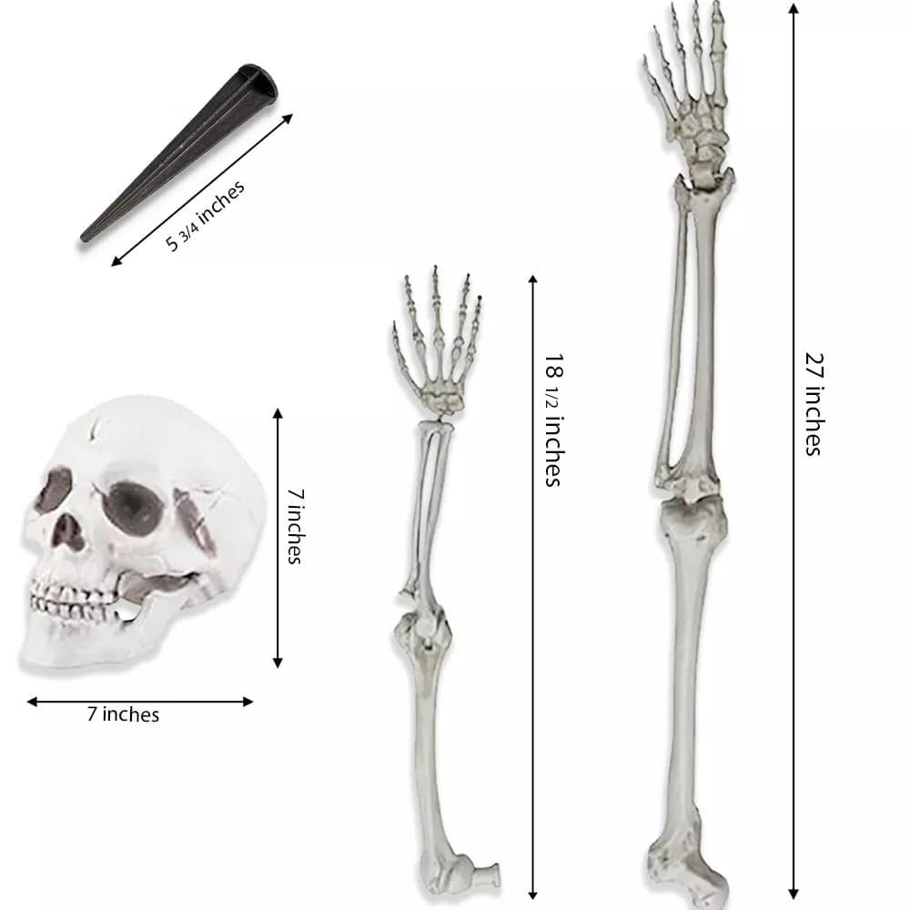 Life-Size Skeleton Halloween Decoration A7535