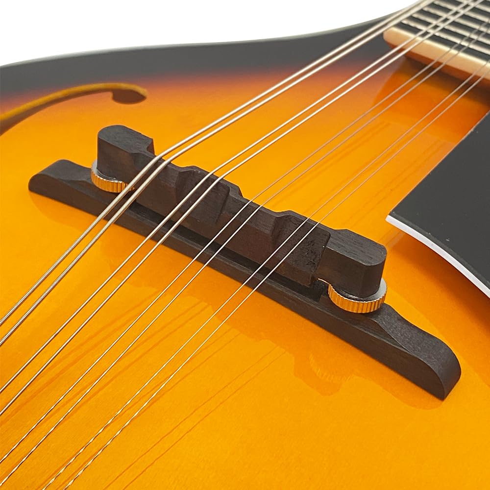 A-Style 8 String Mahogany Acoustic Mandolin V517685
