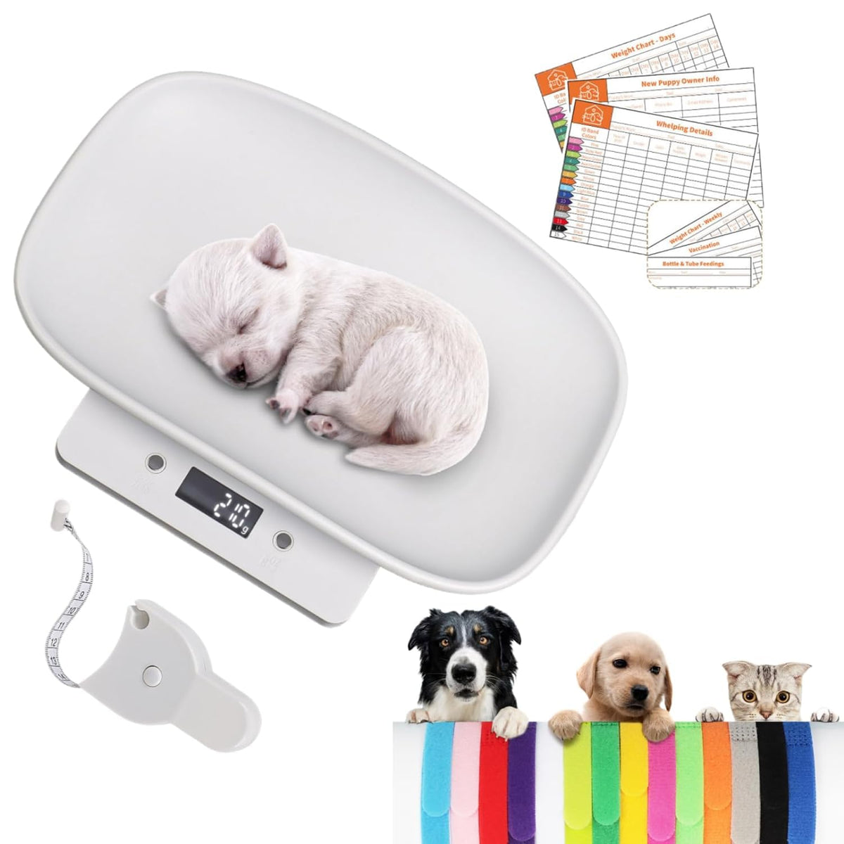 Digital Pet Scale, Max 33lb, 11.4 inch Y50818