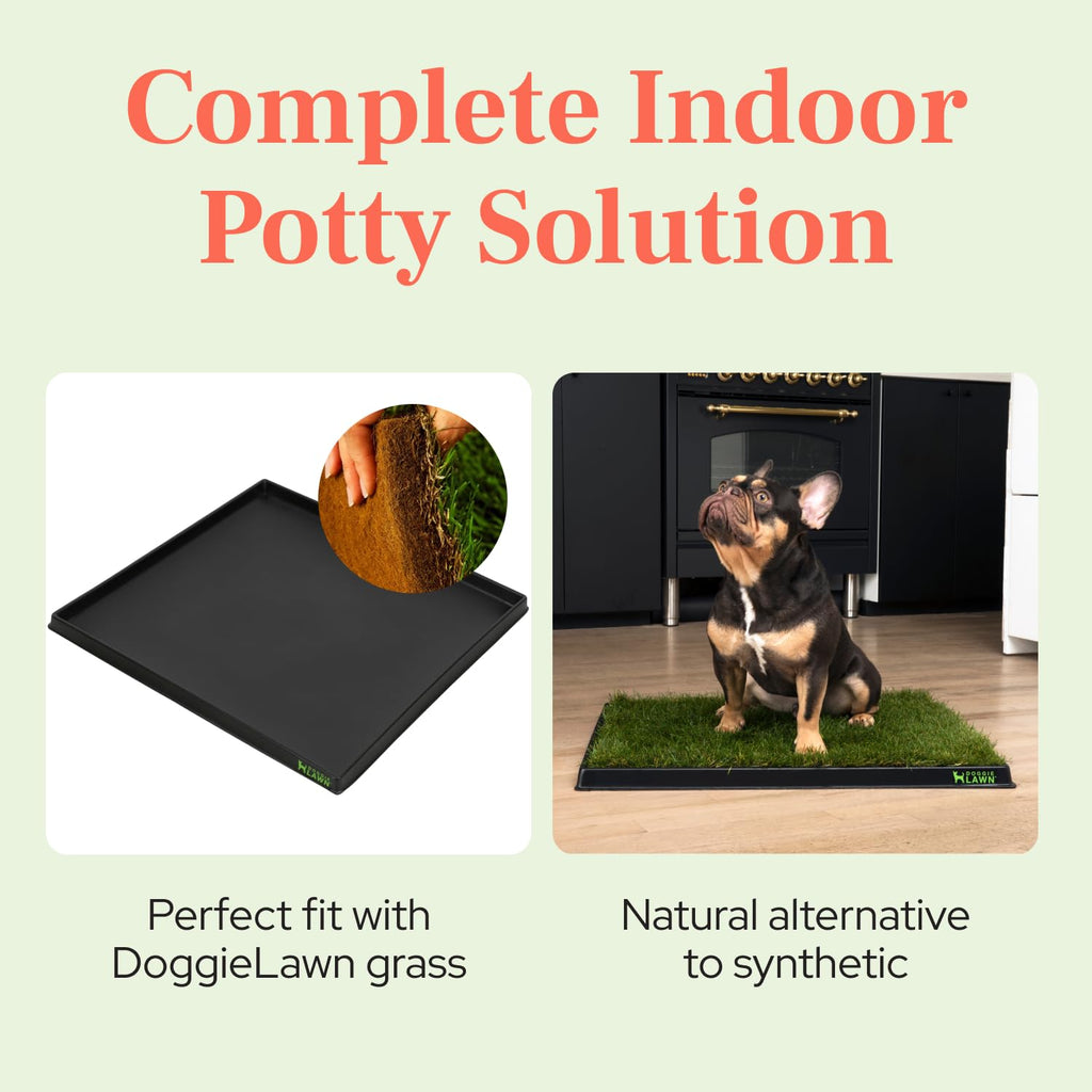 Leak-Proof Dog Potty Tray Medium G4979