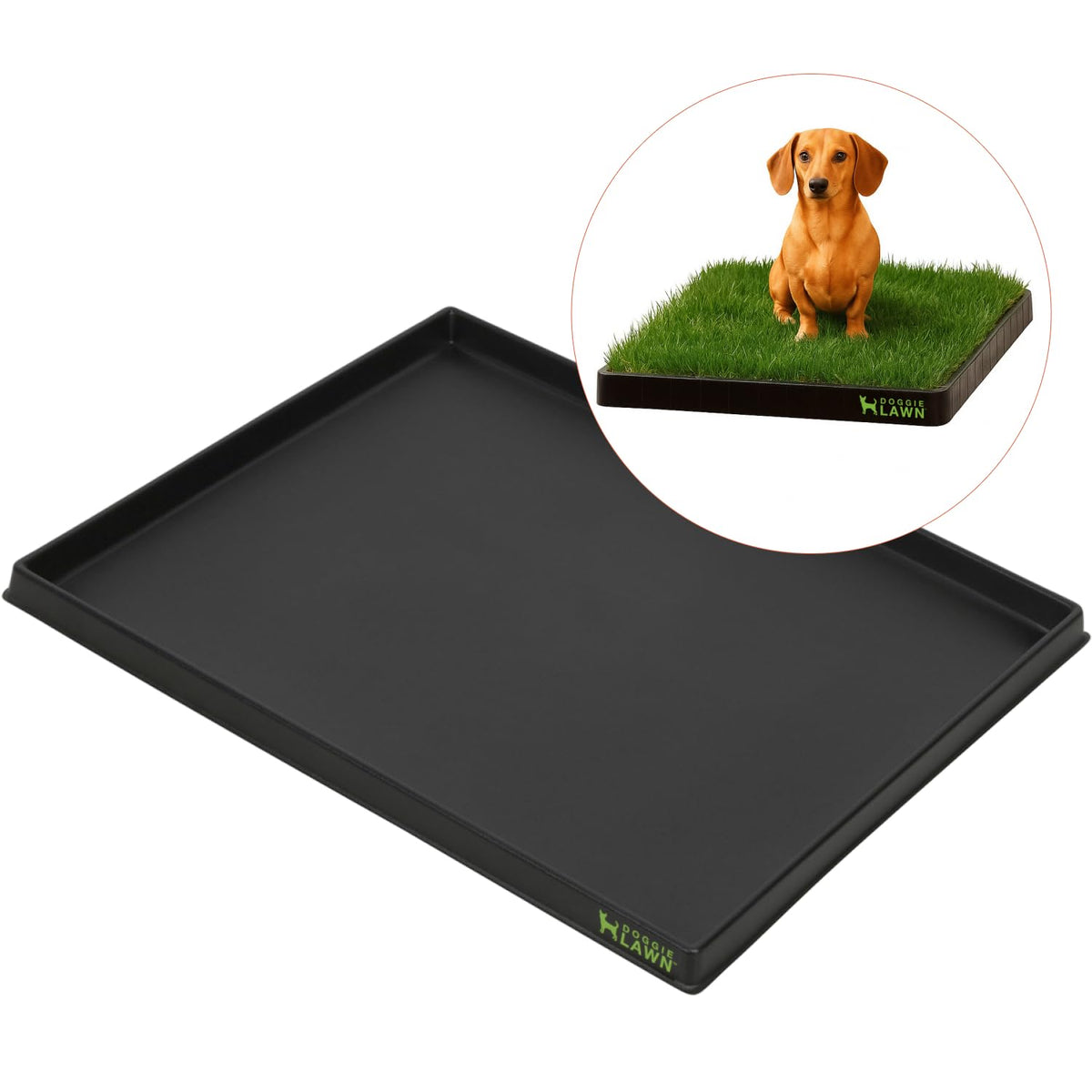 Leak-Proof Dog Potty Tray Medium G4979