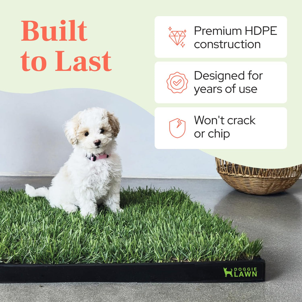 Leak-Proof Dog Potty Tray Medium G4979