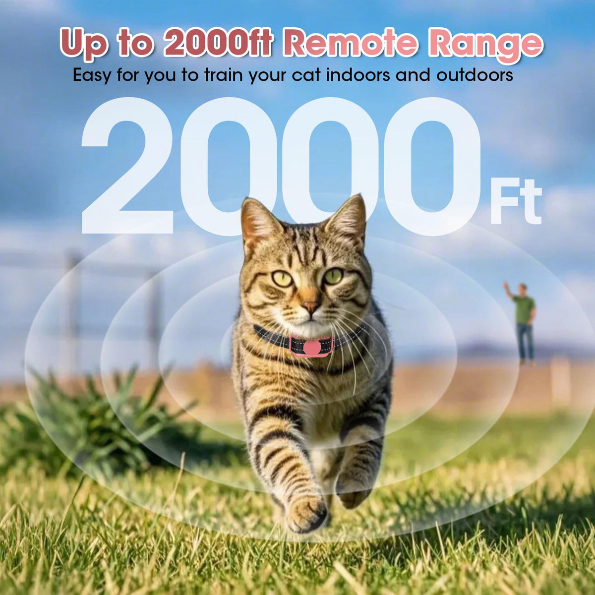 Cat Training Collar with Remote Shock Vibration Beep 3 Modes Waterproof Rechargeable Pink A2264