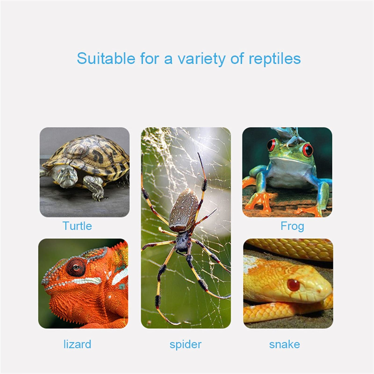 E27 Reptile Heat Lamp Clip-on Bulb Lamp Holder I5716