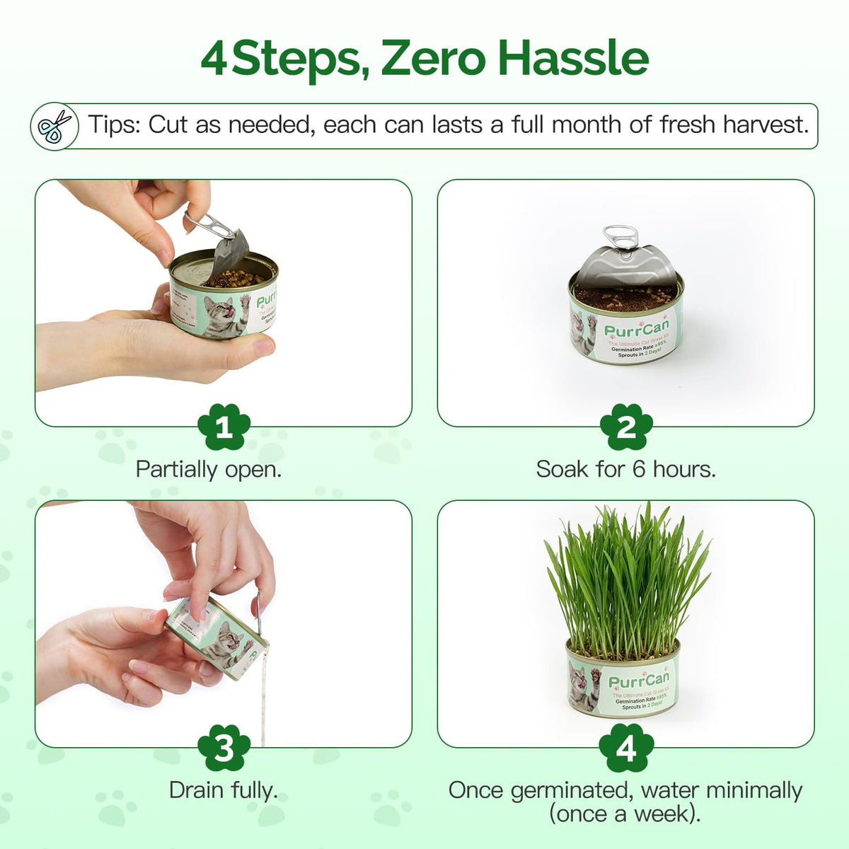 4 Can Cat Grass Kit with Non-GMO Organic Wheat Seeds V2775