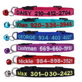 Nylon Cat Collar with Bell U629