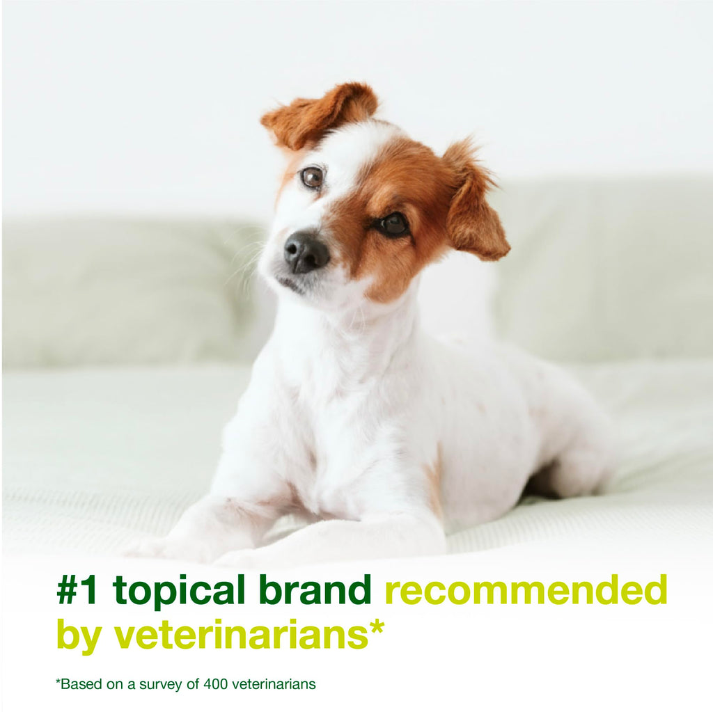 Dog Seboregulating Shampoo & Mousse V509