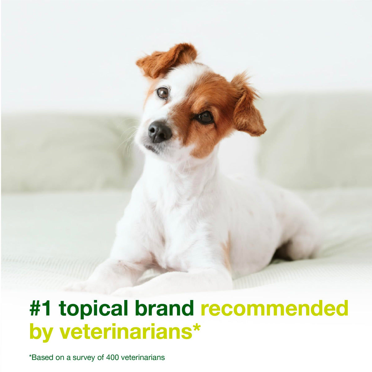 Dog Seboregulating Shampoo & Mousse V509