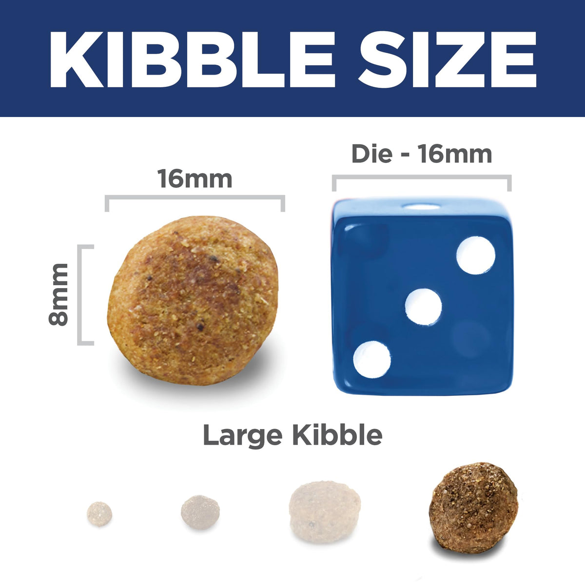 Large Breed Dry Dog Food R798