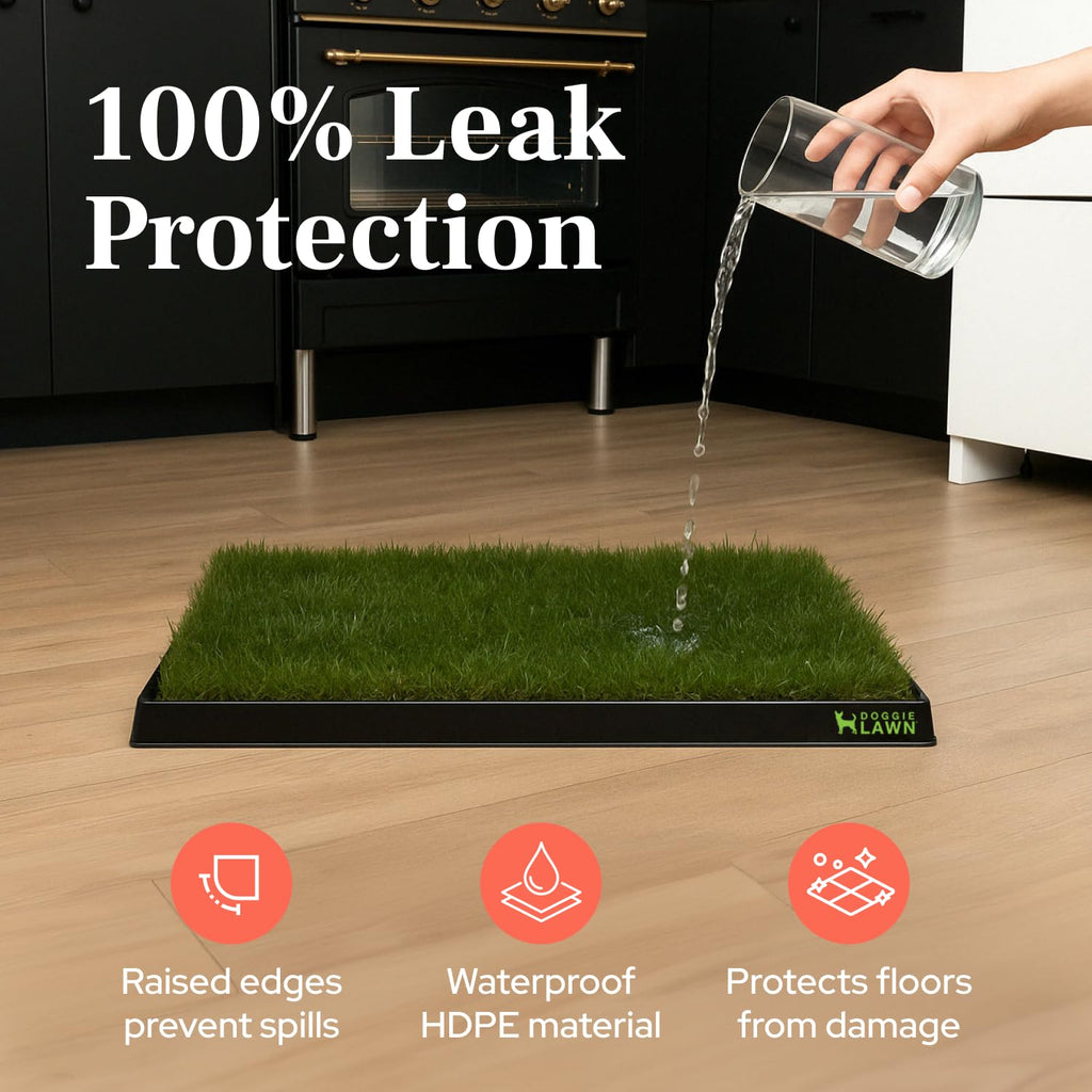 Leak-Proof Dog Potty Tray Medium G4979