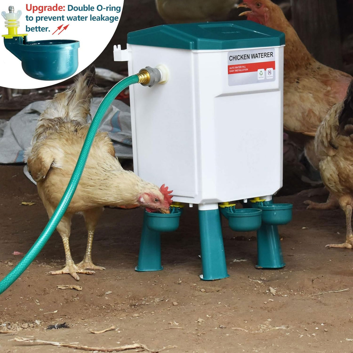 Automatic Chicken Waterer & No Waste Feeder Kits, 3 Gallon U9429