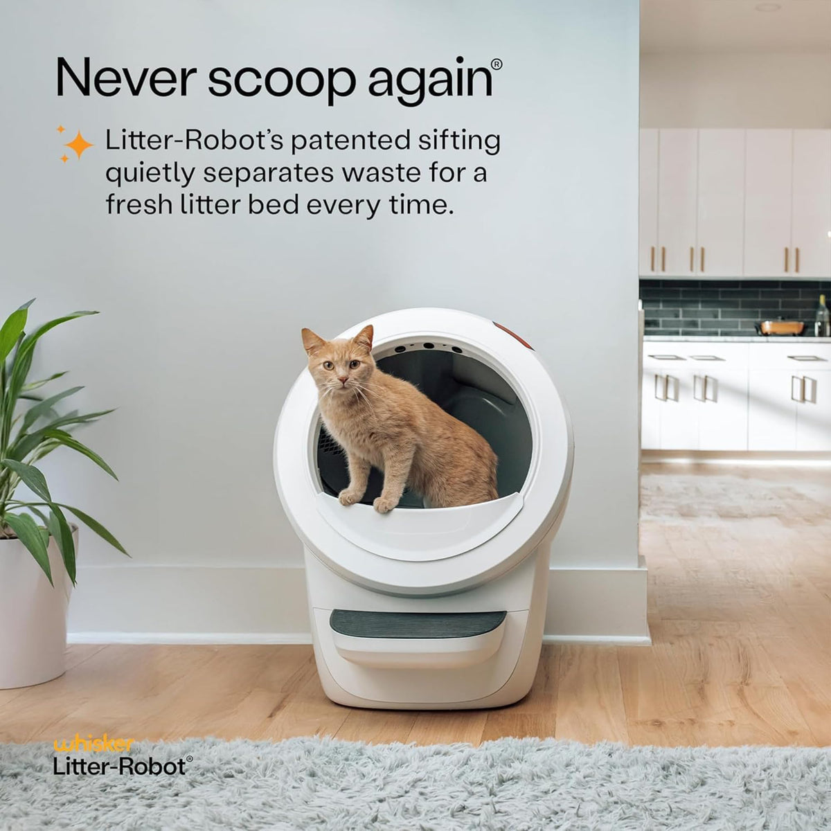White Automatic Litter Box V960458