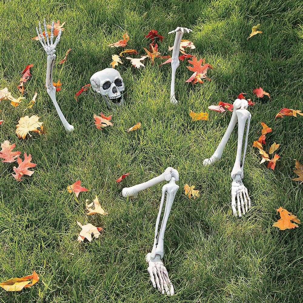 Life-Size Skeleton Halloween Decoration A7535