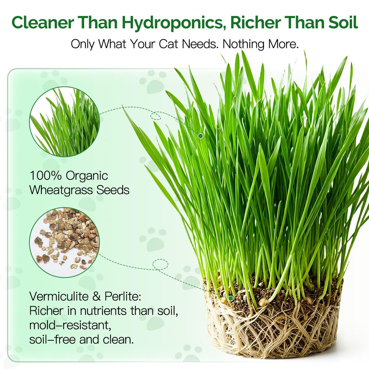 4 Can Cat Grass Kit with Non-GMO Organic Wheat Seeds V2775