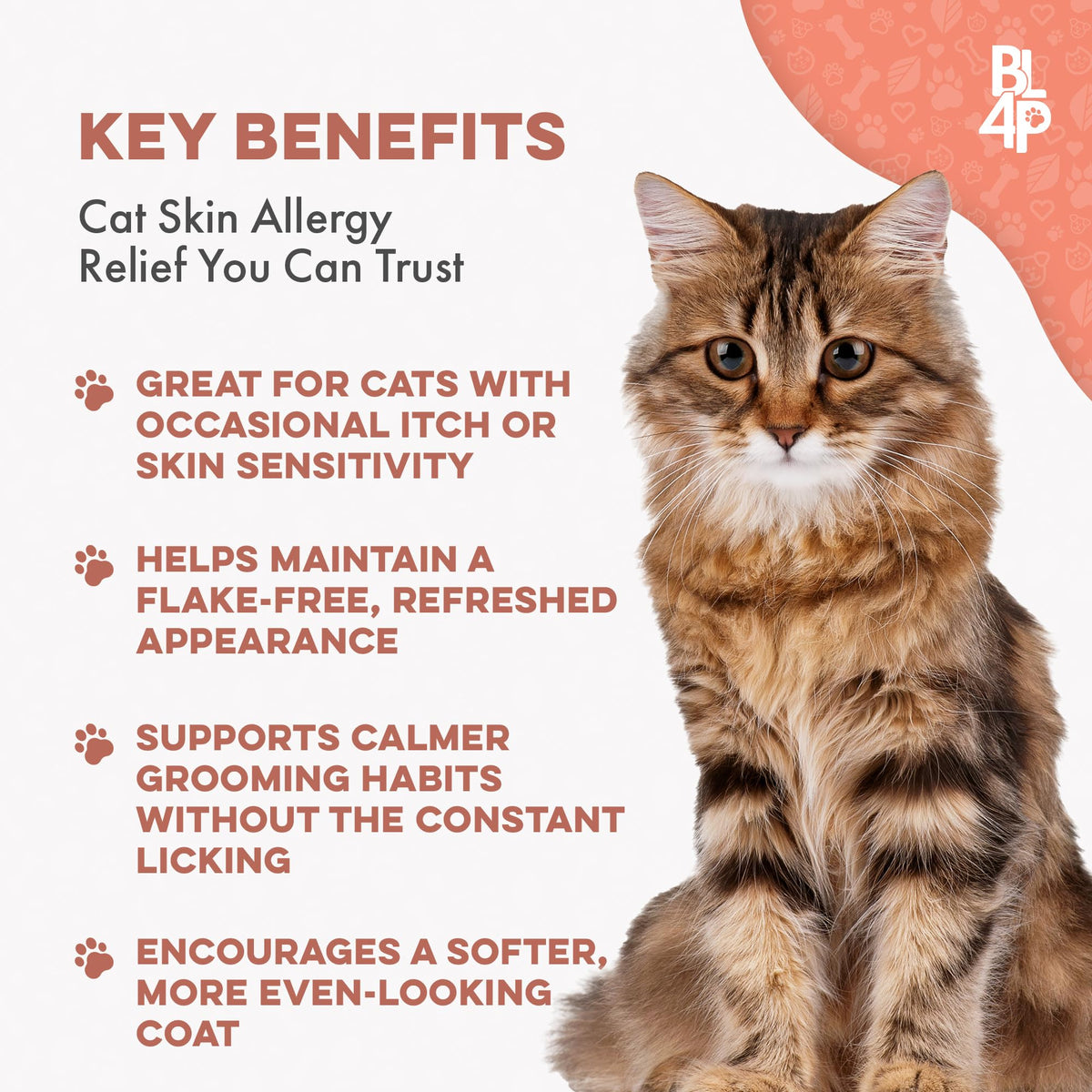 Cat Itchy Skin Relief & Hair Loss Treatment 400 Pills O8063