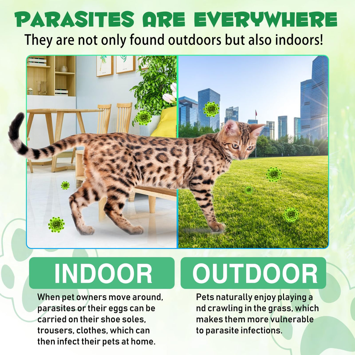 Cat Multivitamin Supplement Drops with Probiotic P111397