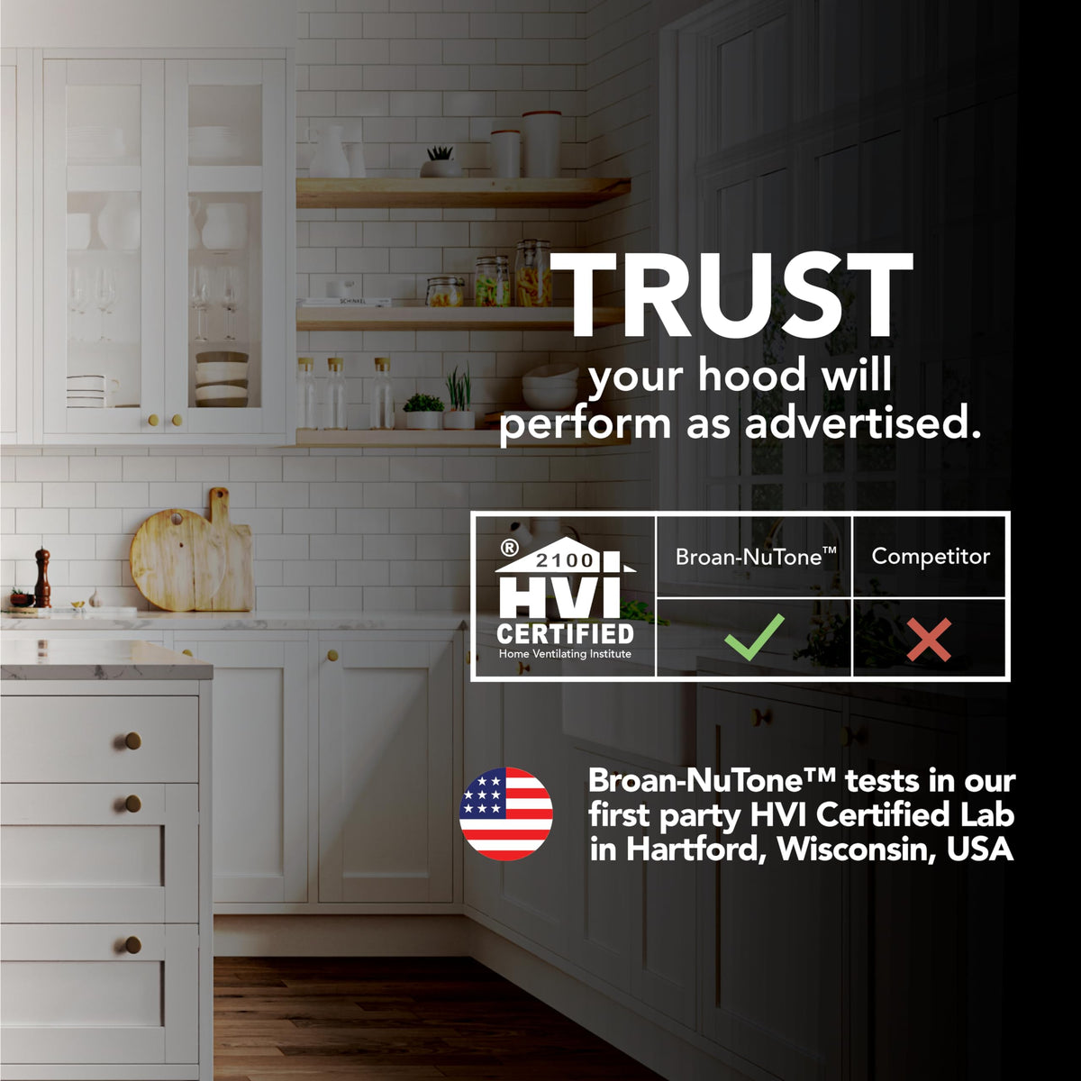 30-Inch Stainless Steel Under-Cabinet Range Hood F968