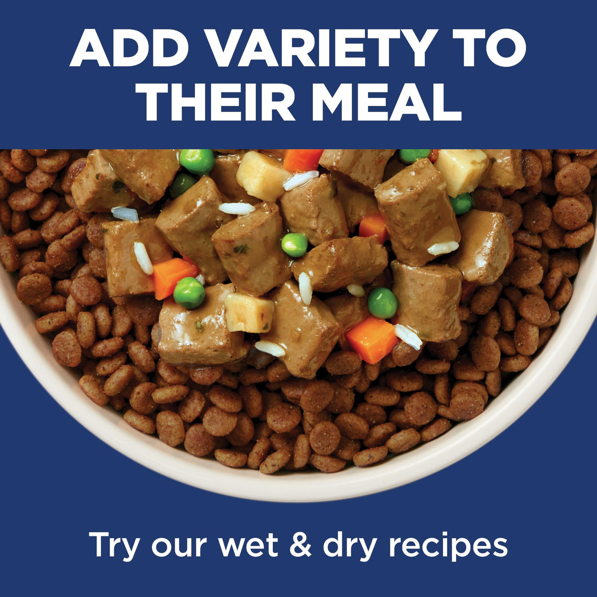 Large Breed Dry Dog Food R798