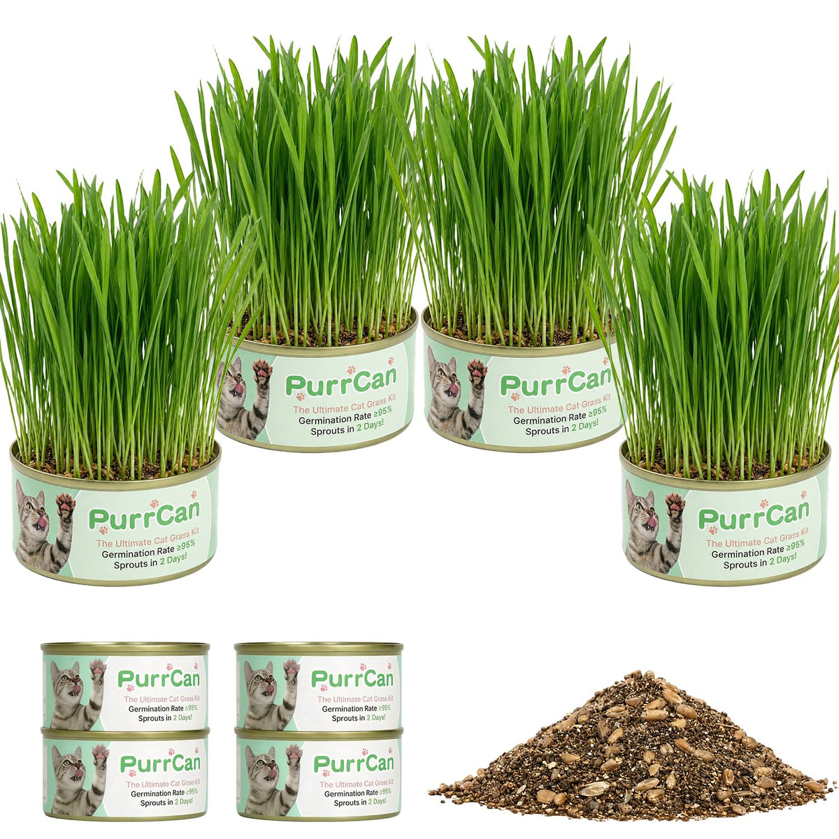 4 Can Cat Grass Kit with Non-GMO Organic Wheat Seeds V2775