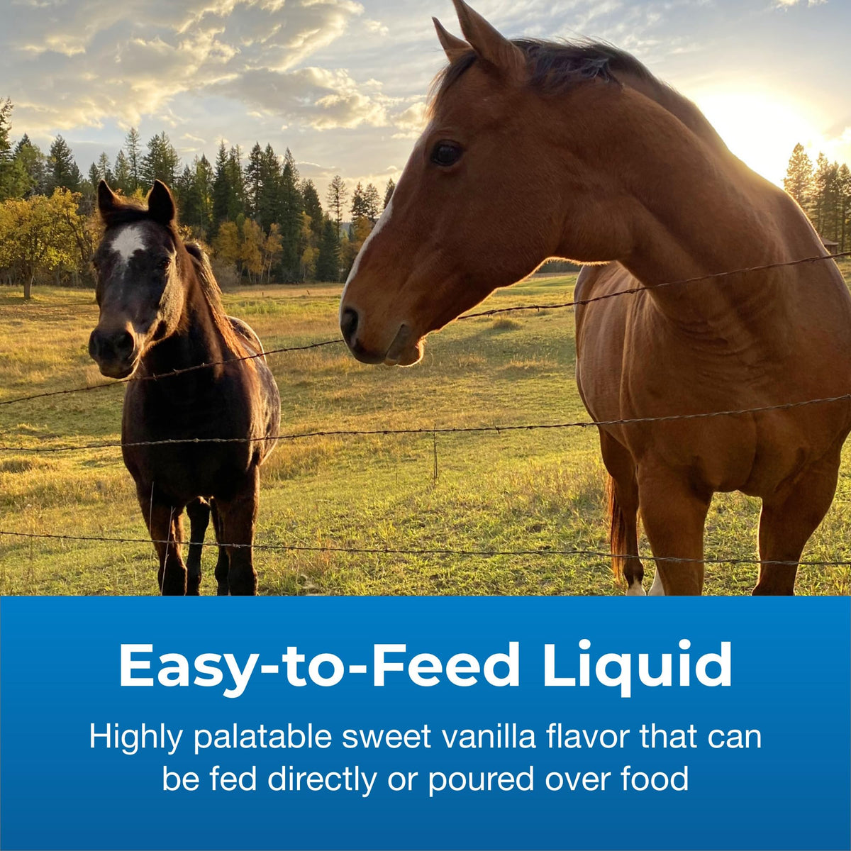 High Calorie Liquid Nutritional Supplement for Livestock 1 Gallon S826