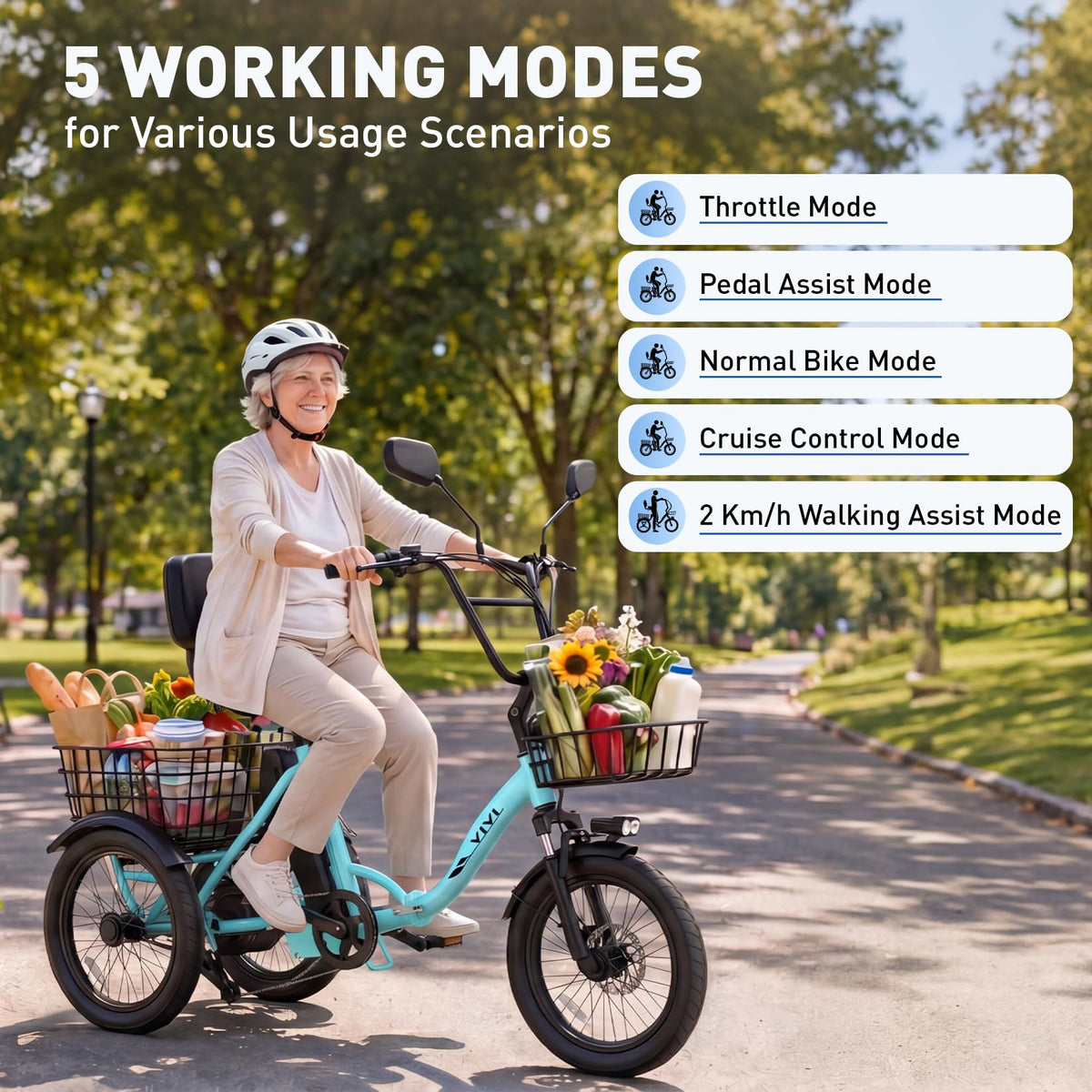 Folding Electric Tricycle 1000W 48V 18" Tire I136067