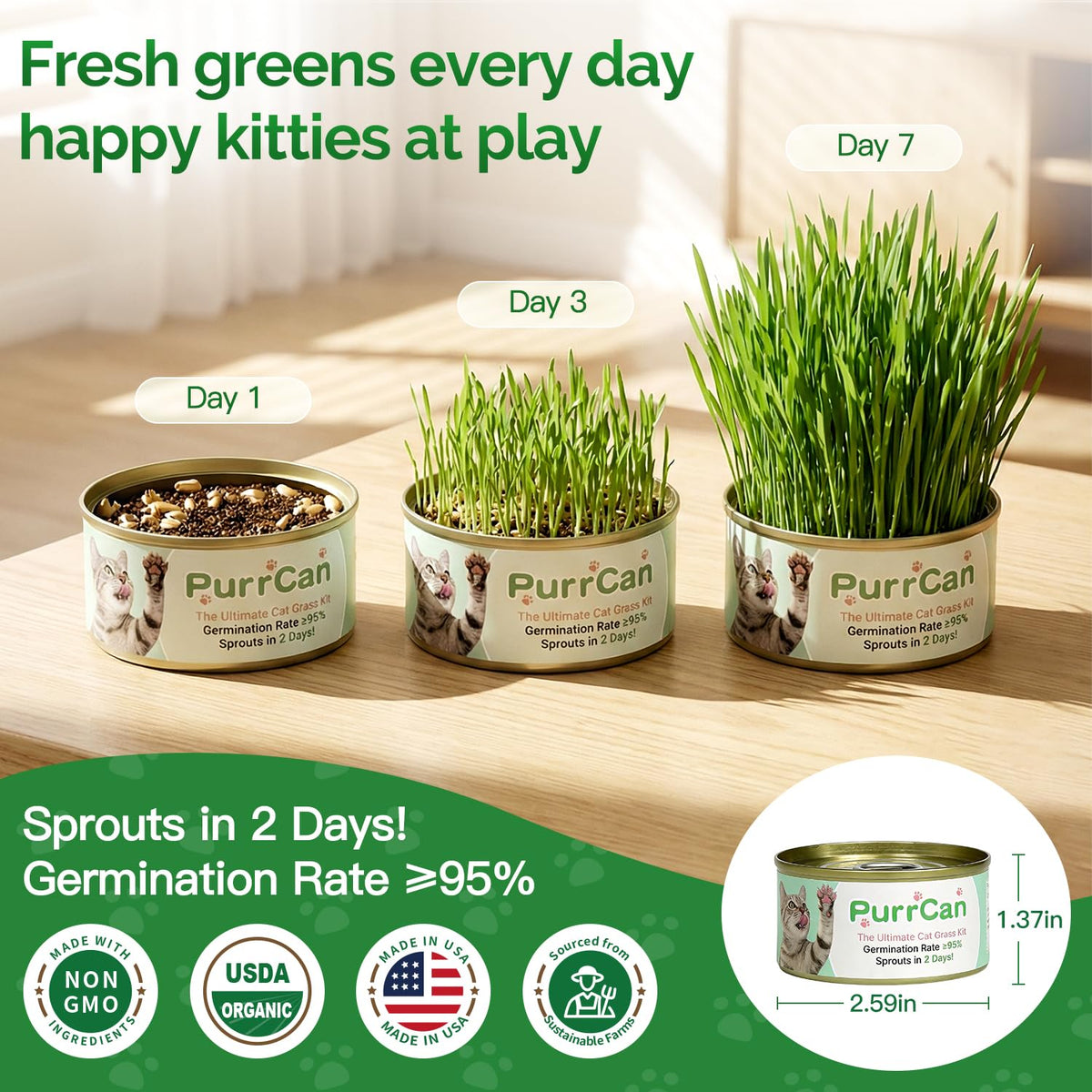 4 Can Cat Grass Kit with Non-GMO Organic Wheat Seeds V2775