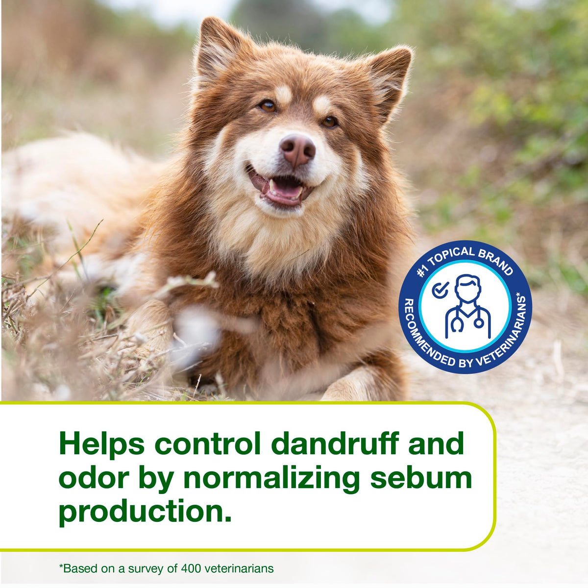Dog Seboregulating Shampoo & Mousse V509