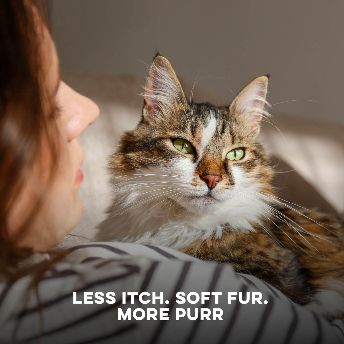 Cat Itchy Skin Relief & Hair Loss Treatment 400 Pills O8063