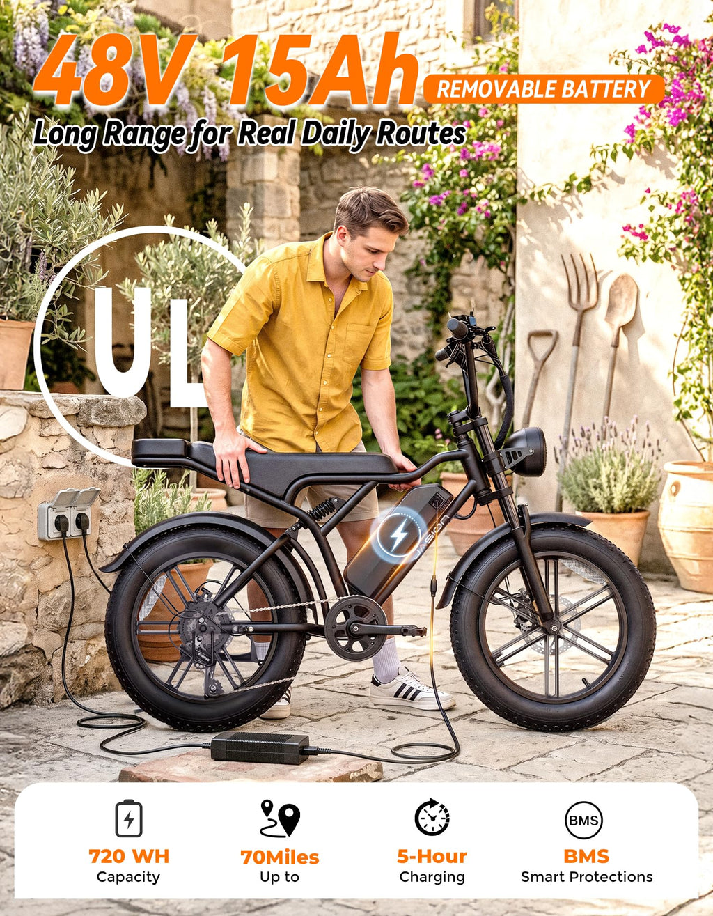Electric Bike, 2000W Peak, Fat Tire T1190
